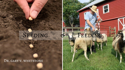 04_Feb_2018: Seeding & Feeding [Digital]