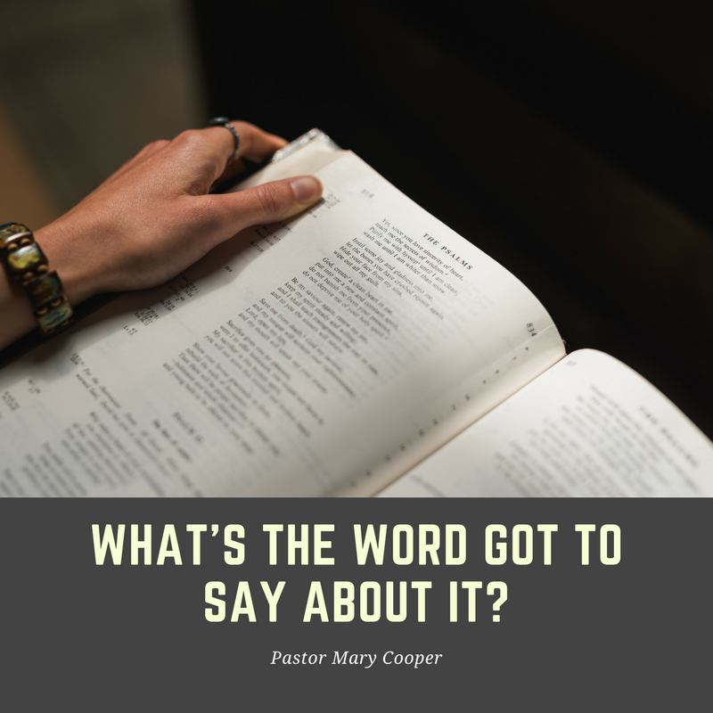 23-July-2017: What's The Word Got To Say About It? (11 a.m.)